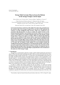 Strong Tidal Currents Observed near the Bottom in the