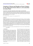 Evaluation of Nitrogen and Phosphorus Wastes Produced by Nile