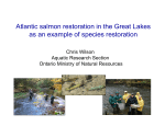 Atlantic salmon restoration in the Great Lakes as an example of