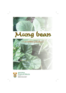 Mung bean. Production guideline