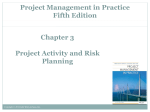 Project Activity and Risk Planning