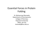 Essential Forces in Protein Folding