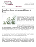 Peach Stunt Disease and Associated Diseases of Peach