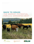 back to grass the market potential for us grassfed beef