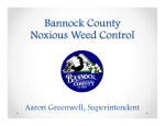 Bannock County Noxious Weed Control