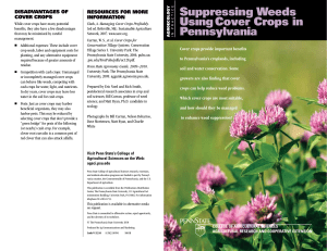 Suppressing Weeds Using Cover Crops in Pennsylvania — Penn
