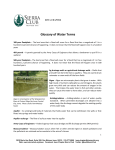 Glossary of Water Terms