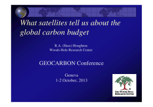 What satellites tell us about the global carbon budget