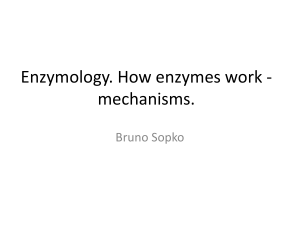 Enzymologie. Jak pracují enzymy