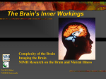 Inner Workings of the Brain