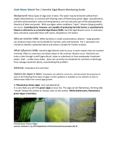 Utah Water Watch Tier 1 Harmful Algal Bloom Monitoring Guide