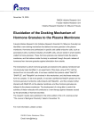 Elucidation of the Docking Mechanism of Hormone Granules to the