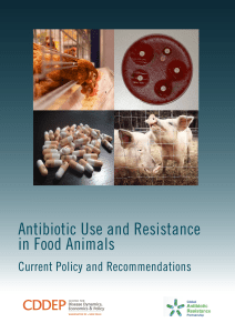 Antibiotic Use and Resistance in Food Animals