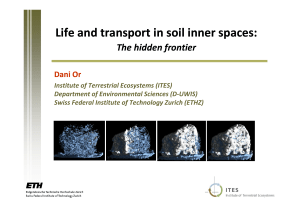 Life and transport in soil inner spaces