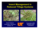 Insect Management in Reduced Tillage Systems