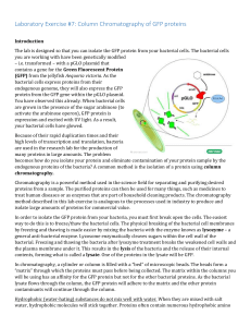 Laboratory Exercise #7: Column Chromatography of GFP proteins