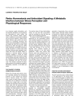 Redox Homeostasis and Antioxidant Signaling: A