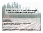 Forest carbon or forest bioenergy?