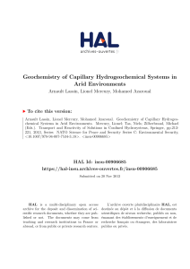 Geochemistry of Capillary Hydrogeochemical Systems in Arid