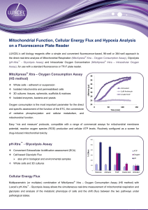 Mitochondrial Function, Cellular Energy Flux and Hypoxia Analysis