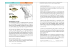 Species Description, Current Range, and Habitat