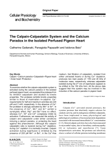 The Calpain-Calpastatin System and the Calcium Paradox in the