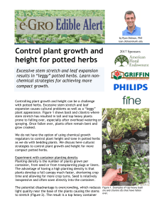 Control plant growth and height for potted herbs - e-GRO