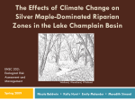 Silver Maple-Dominated Riparian Forest Systems