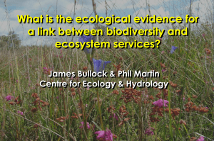 Quantifying the evidence for biodiversity effects on ecosystem