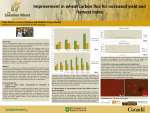 P50 IMPROVEMENT IN WHEAT CARBON FLUX FOR INCREASED