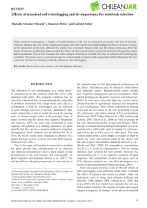 Effects of transient soil waterlogging and its importance for