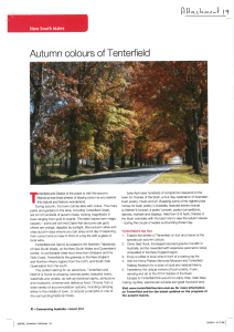 Autumn colours of Tenterfield