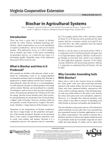 Biochar in Agricultural Systems