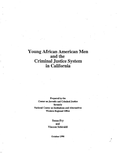 Young African American Men and the Criminal Justice System in