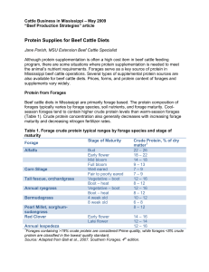 Protein Supplies for Beef Cattle Diets