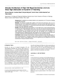 Alveolar Architecture of Clear Cell Renal Carcinomas «5.0 cm