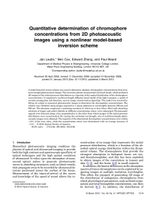 Quantitative determination of chromophore concentrations from 2D