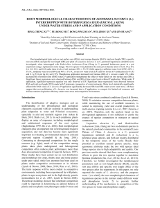 root morphological characteristics of lespedeza davurica