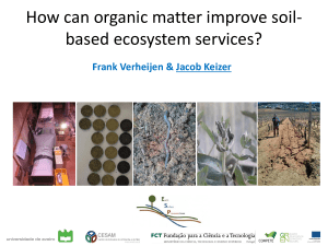 How can organic matter improve soil- based ecosystem
