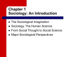 Sociology In A Changing World, 6e