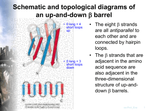 Protein structure is conceptually divided into four