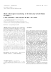 Multi-colour optical monitoring of the intra