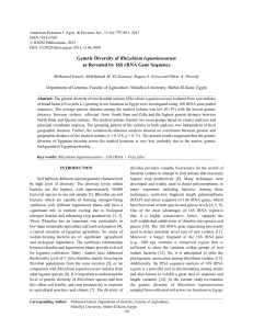 Genetic Diversity of Rhizobium leguminosarum as Revealed