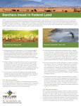 Ranchers Invest in Federal Land