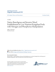 Native Bunchgrass and Invasive Weed Establishment in Low