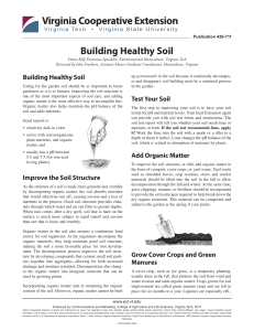 Building Healthy Soil