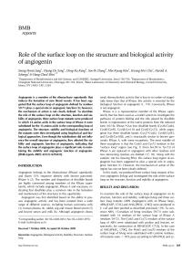 Role of the surface loop on the structure and biological activity of