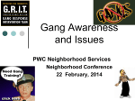 Gang Awareness and Issues