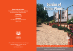 Garden of Colour Plants