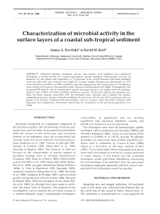 Characterization of microbial activity in the surface layers of a